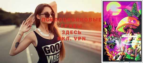 крисы Карпинск