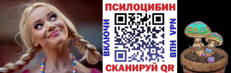 Псилоцибиновые грибы Psilocybine cubensis  Купить где  Дальнереченск 